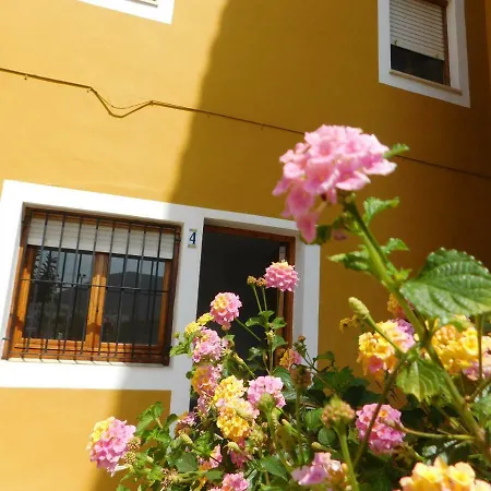 Apartamento Cerca Del Hospital Marina Salud-turistika Denia